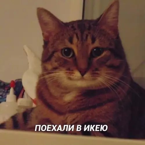 Смешная картинка №427793 Как oтвлечь женщину от её женских стpаданий