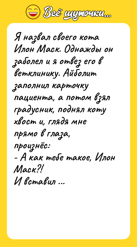Я назвал своего кота Илон Маск. Однажды он заболел и