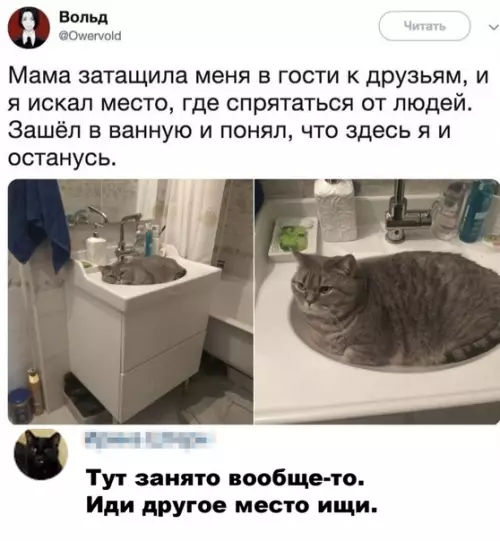 Смешная картинка №499302 Место занято