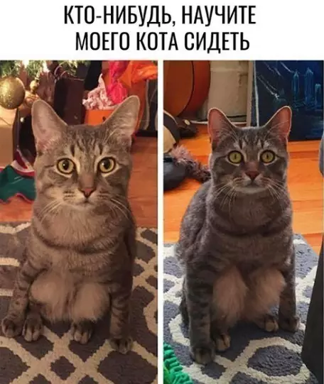 Смешная картинка №313703