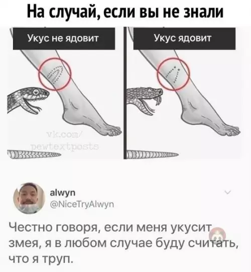 Смешная картинка №545771 и Я!