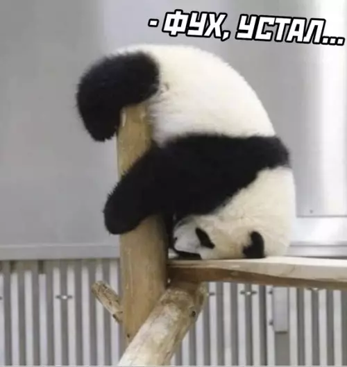 продолжение Смешная картинка №568915