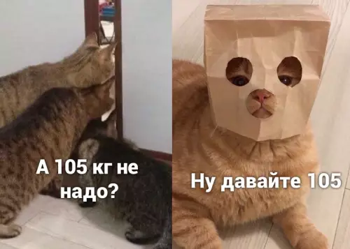 продолжение Смешная картинка №686929