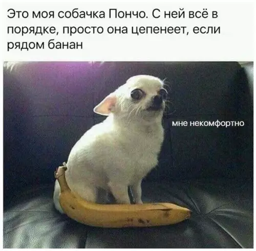 Смешная картинка №247881