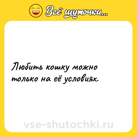 Шутка: Любить кошку можно только на её условиях.
