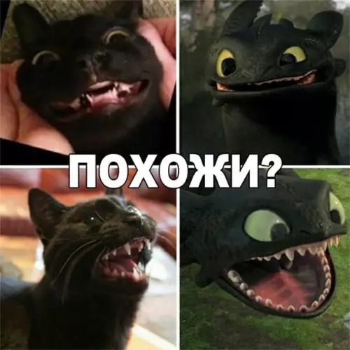 Смешная картинка №240747