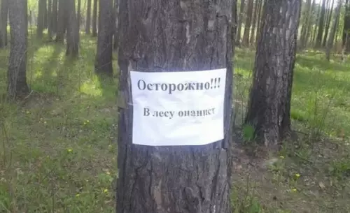 продолжение Смешная картинка №591582
