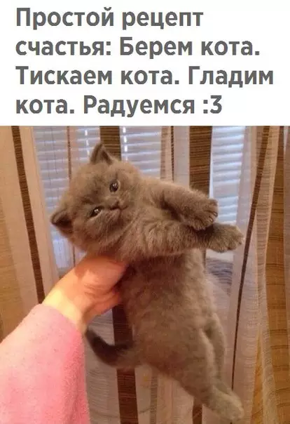 Смешная картинка №215341