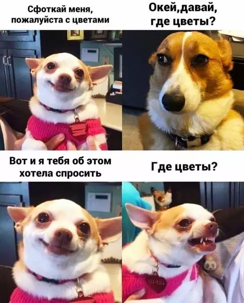 Смешная картинка №553541 8 марта скоро, мужики, не забудьте про цветы! ?