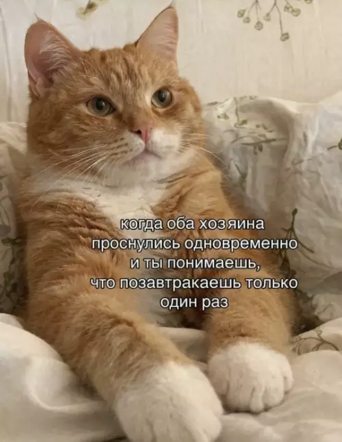 Смешная картинка №809665