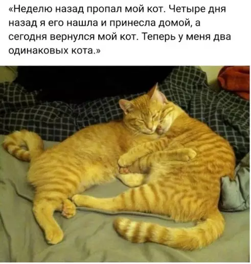 Смешная картинка №232754