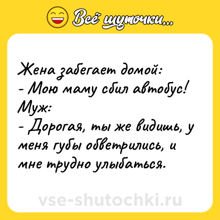 Шутка: Жена забегает домой:<br>- Мою маму сбил автобус!<br>Муж:<br>- Дорогая, ты же видишь, у меня губы обветрились, и мне трудно улыбаться.