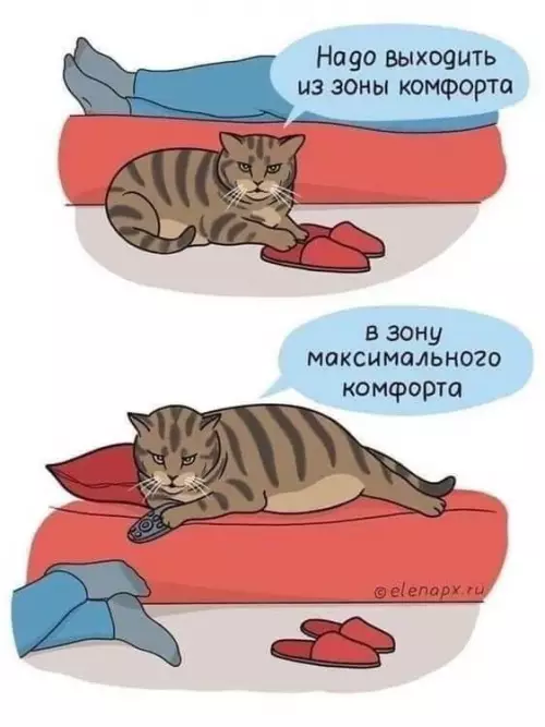 Смешная картинка №774288
