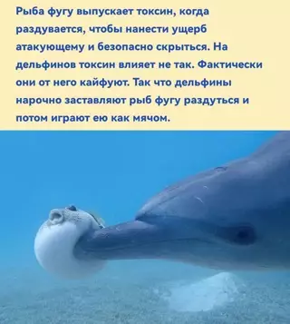 Смешная картинка №639909