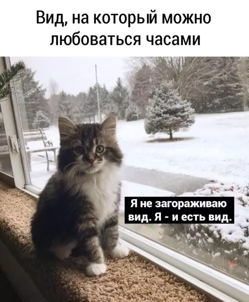 Смешная картинка №490130
