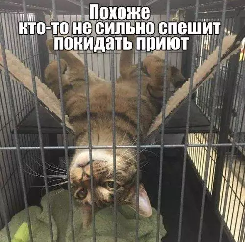 Смешная картинка №182599