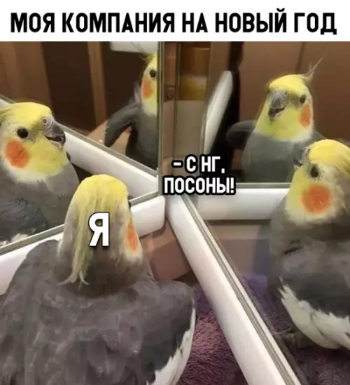 Смешная картинка №318842