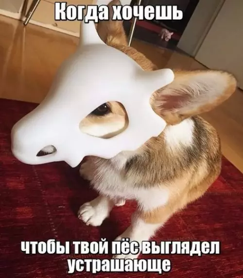 Смешная картинка №182376