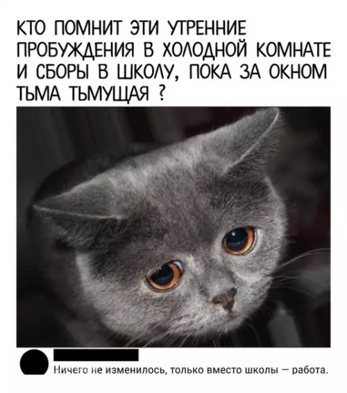 Смешная картинка №497115