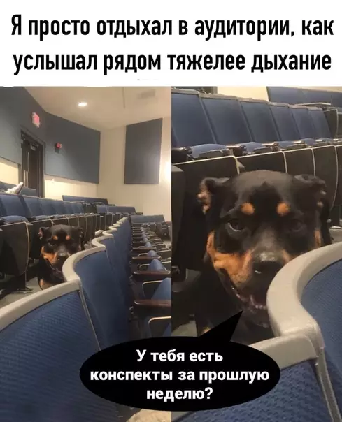 Смешная картинка №528363