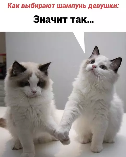 Смешная картинка №614588 Девушки VS. парни
