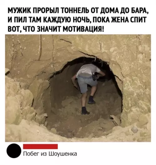 Смешная картинка №491549