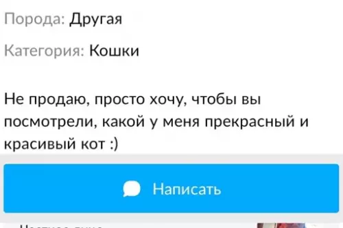 продолжение Смешная картинка №647945