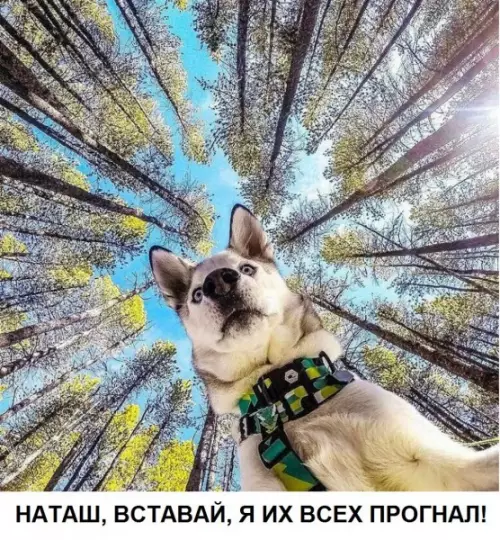 Смешная картинка №494439 наташа