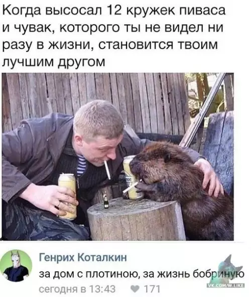 Смешная картинка №311365