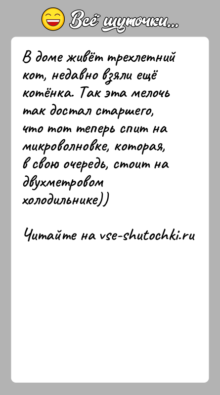 История: В доме живёт трехлетний кот, недавно взяли ещё котёнка. Так эта мелочь так достал старшего, что тот теперь спит на