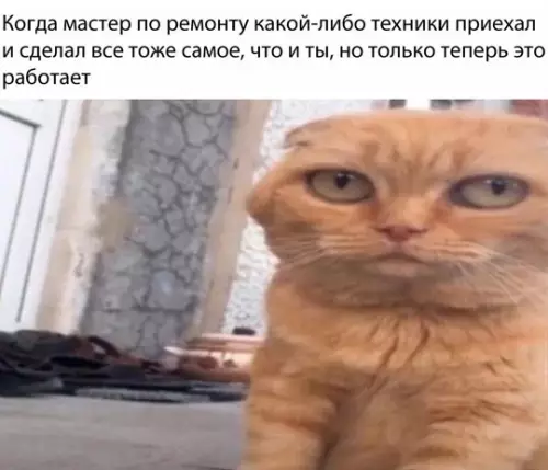 Смешная картинка №778986