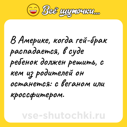 Шутка: В Америке, когда гей-брак распадается, в суде ребенок должен решить, с кем из родителей он останется: с веганом или кроссфитером.