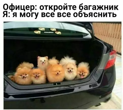 Смешная картинка №289446