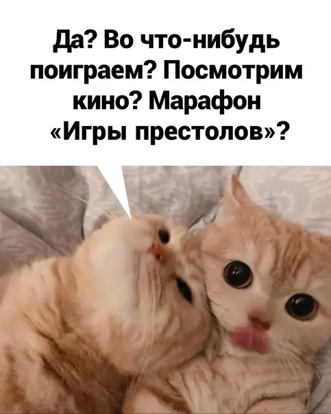 продолжение Смешная картинка №572761