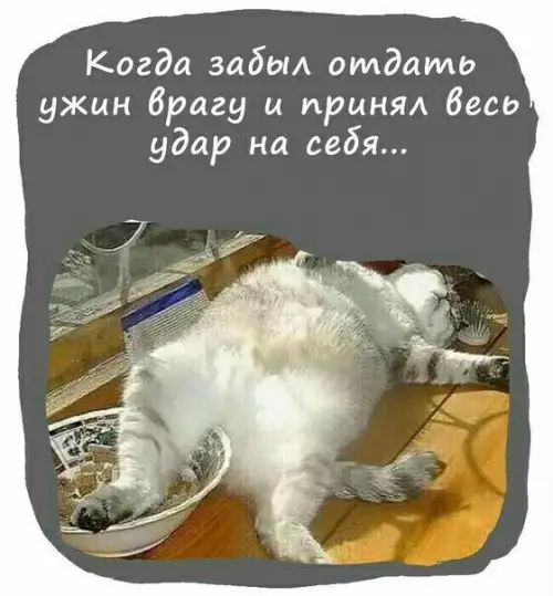 Смешная картинка №673111