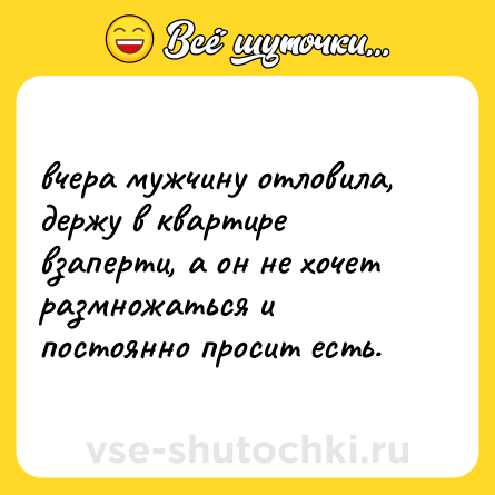 Шутка: вчера мужчину отловила, держу в квартире взаперти, а он не хочет размножаться и постоянно просит есть.