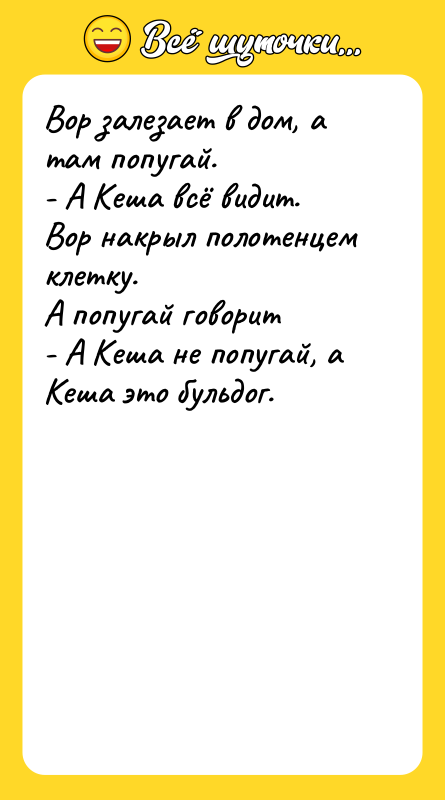 Вор залезает в дом, а там попугай. - А Кеша