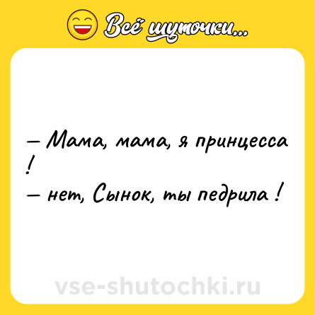 Шутка: — Мама, мама, я принцесса ! <br>— нет, Сынок, ты педрила !