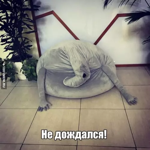 Смешная картинка №189498