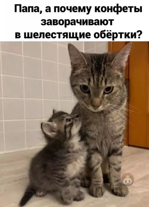 Смешная картинка №605805 Это заговор!