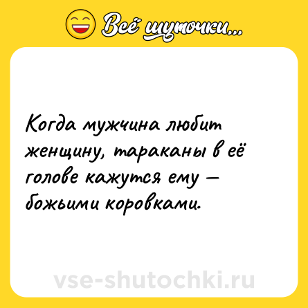 Шутка: Когда мужчина любит женщину, тараканы в её голове кажутся ему — божьими коровками.