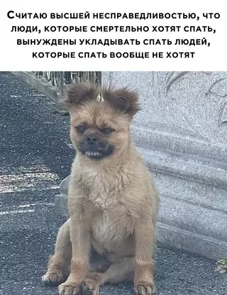 Смешная картинка №676357