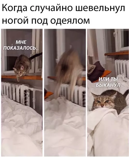 Смешная картинка №433409