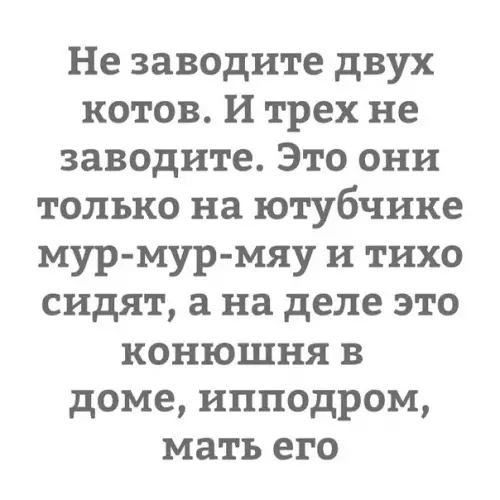 Смешная картинка №352921