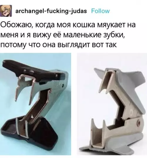 Смешная картинка №695479