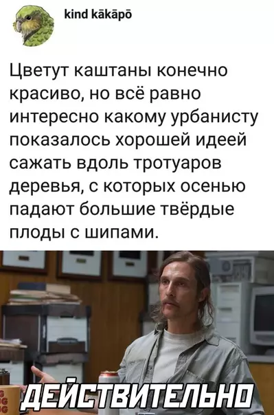 Смешная картинка №604428