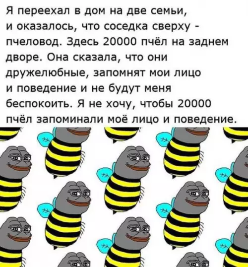 Пчёлы и соседи