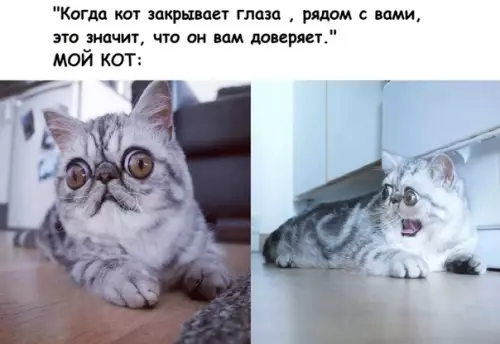 Смешная картинка №284696
