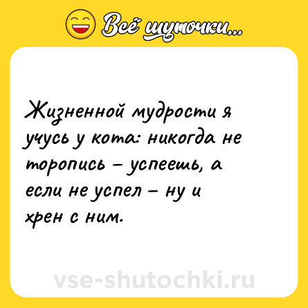 Шутка: Жизненной мудрости я учусь у кота: никогда не торопись – успеешь, а если не успел – ну и хрен с ним.
