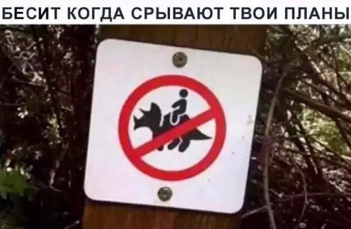 Смешная картинка №726051